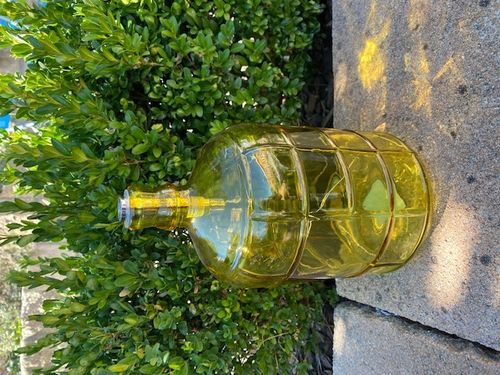 LED Flasche Deko-Flasche aus Glas gelb